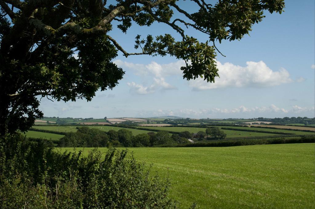 לינה וארוחת בוקר ליסקירד Tregondale Manor Farm מראה חיצוני תמונה